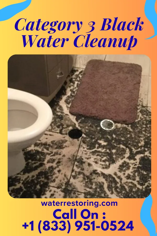 Category 3 Black Water Cleanup in Kirtland, NM