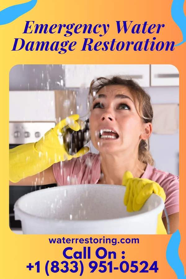 Emergency Water Damage Restoration in Kirtland, NM